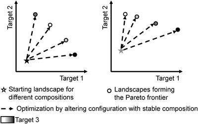 Synergies or Trade-Offs? Optimizing a Virtual Urban Region to Foster Plant Species Richness, Climate Regulation, and Compactness Under Varying Landscape Composition